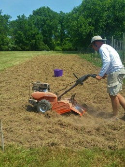 20160626_105739_resized