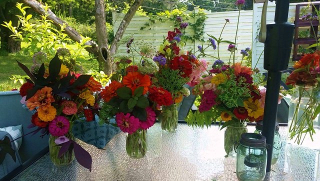 received_10208215325913107