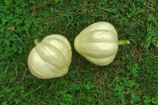 20160731_181352_resized