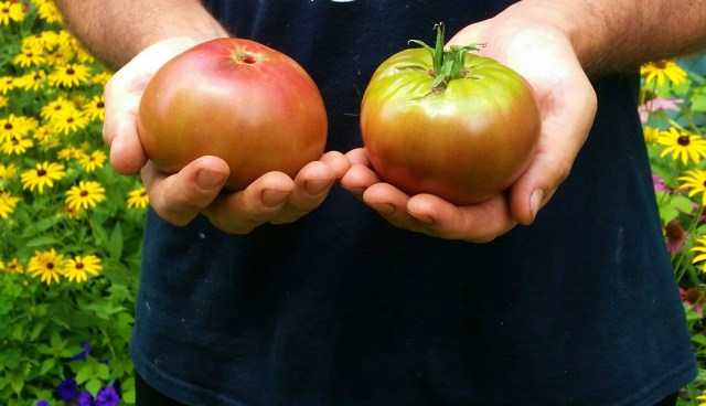 20160805_115415_resized