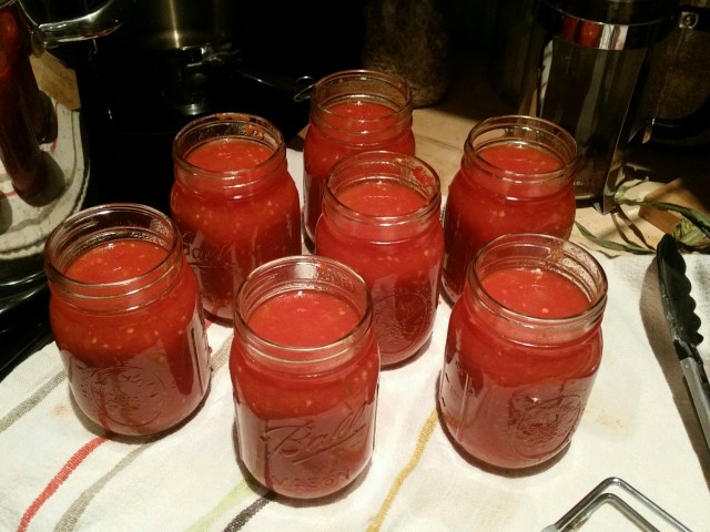 20160805_205832_resized