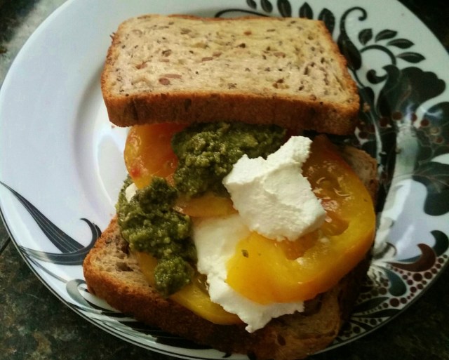 20160807_135533_resized